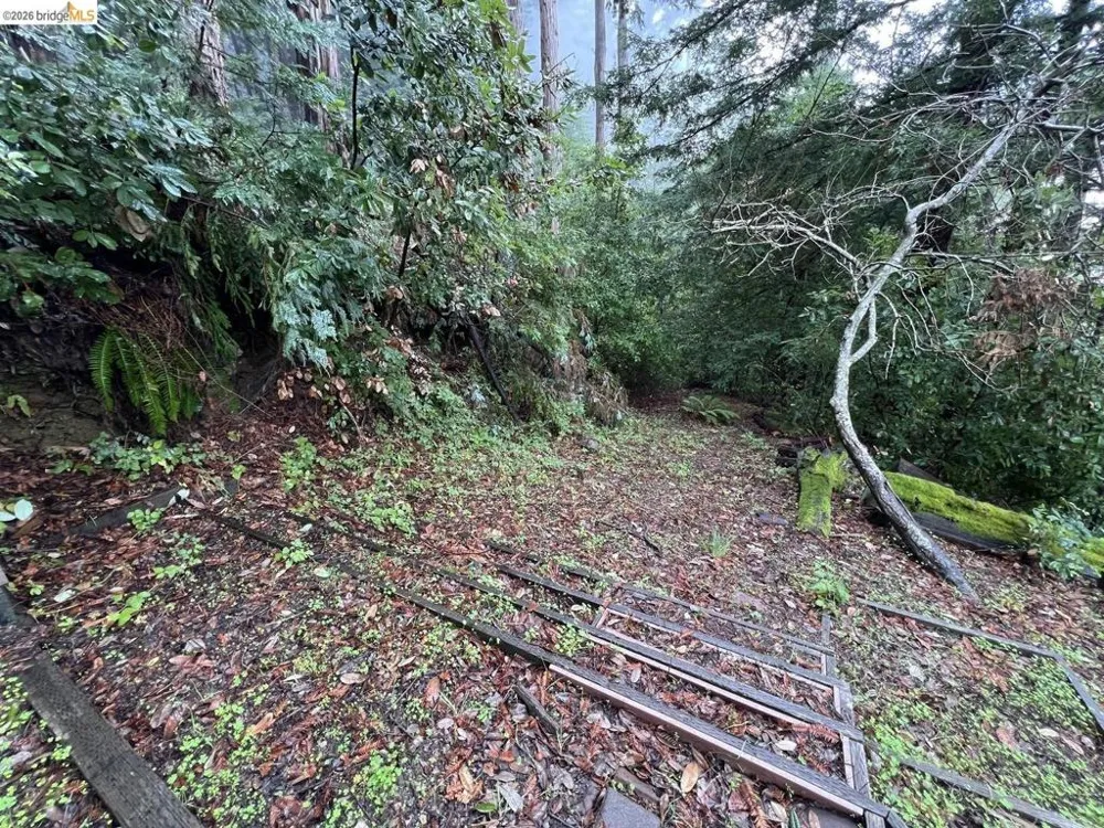 Deer Trail WAY Scotts Valley, CA 95066