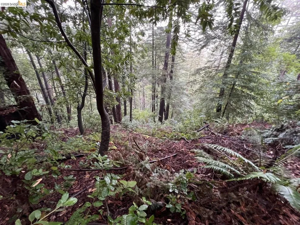 Deer Trail WAY Scotts Valley, CA 95066