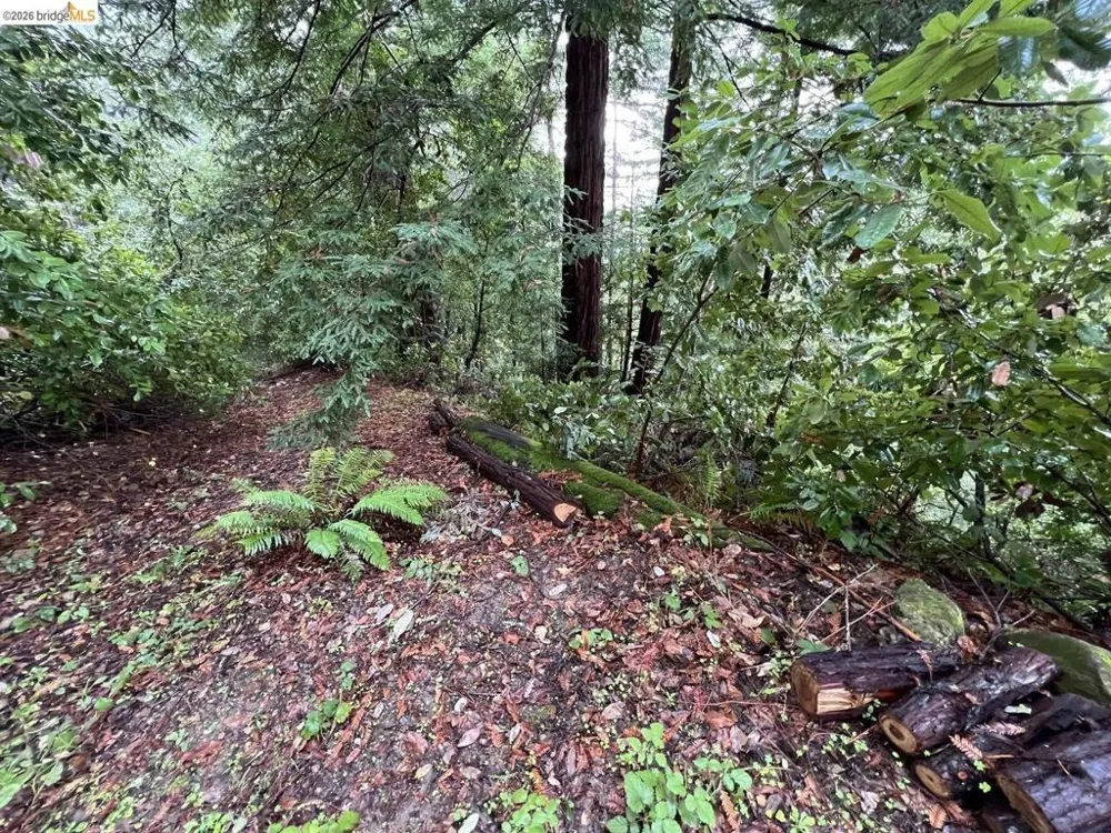 Deer Trail WAY Scotts Valley, CA 95066