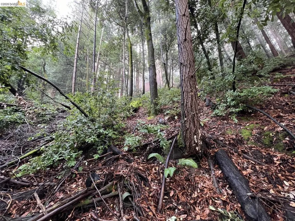Deer Trail WAY Scotts Valley, CA 95066