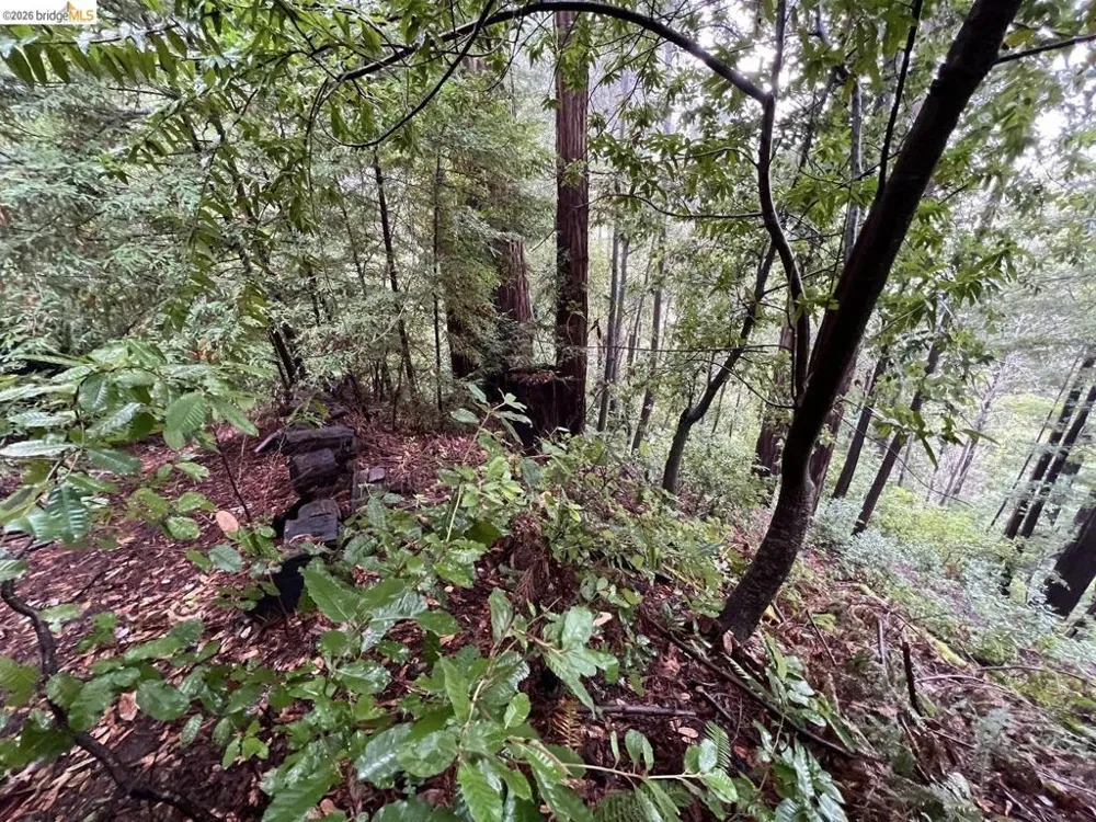 Deer Trail WAY Scotts Valley, CA 95066