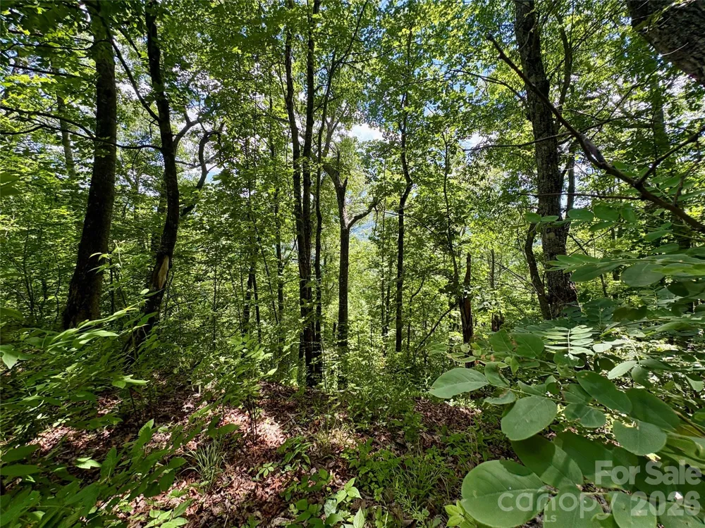 0 Eagles Roost Road #70 Bryson City, NC 28713