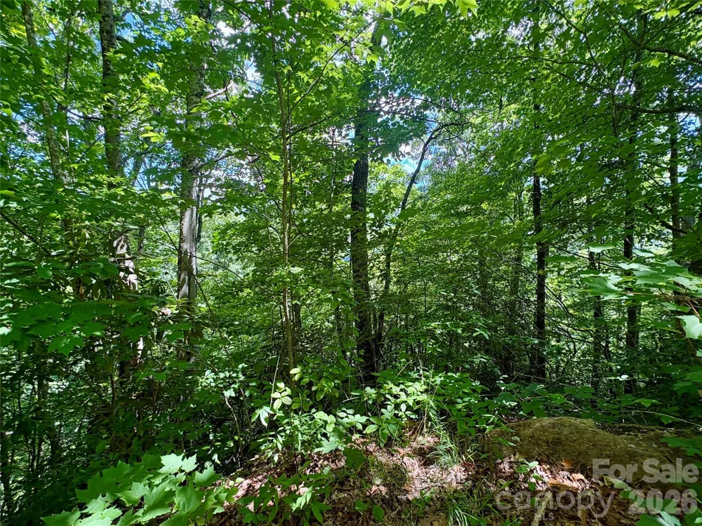 0 Eagles Roost Road #70 Bryson City, NC 28713