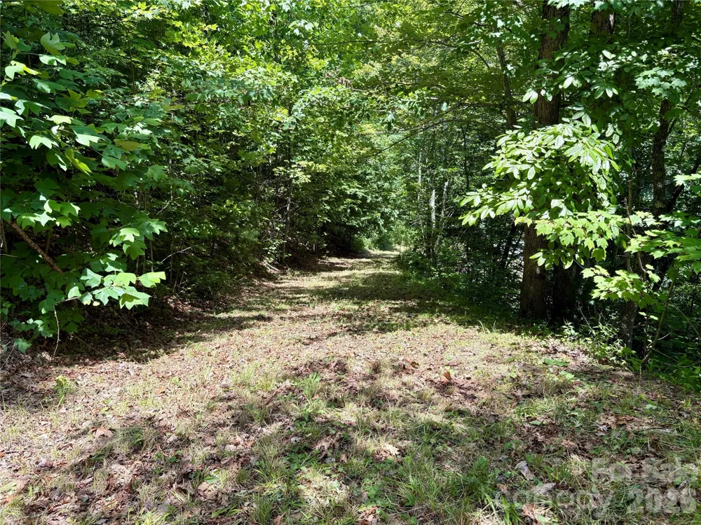 0 Eagles Roost Road #70 Bryson City, NC 28713
