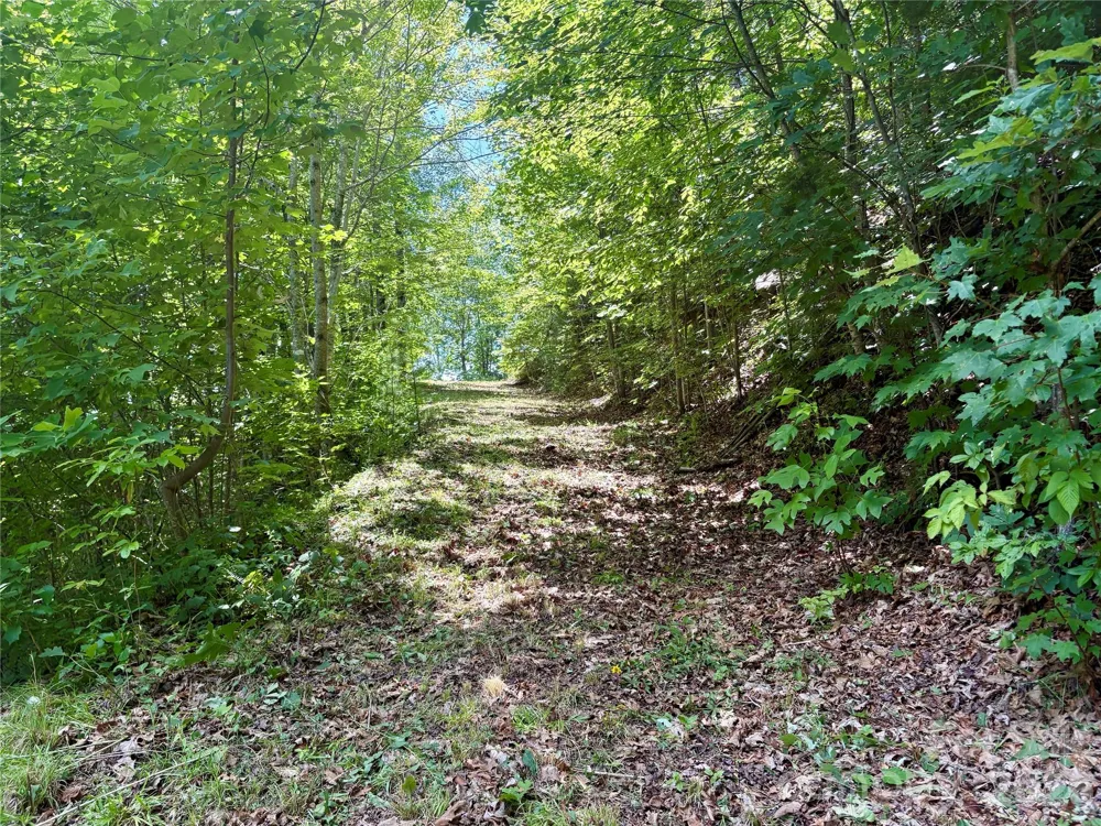 0 Eagles Roost Road #70 Bryson City, NC 28713
