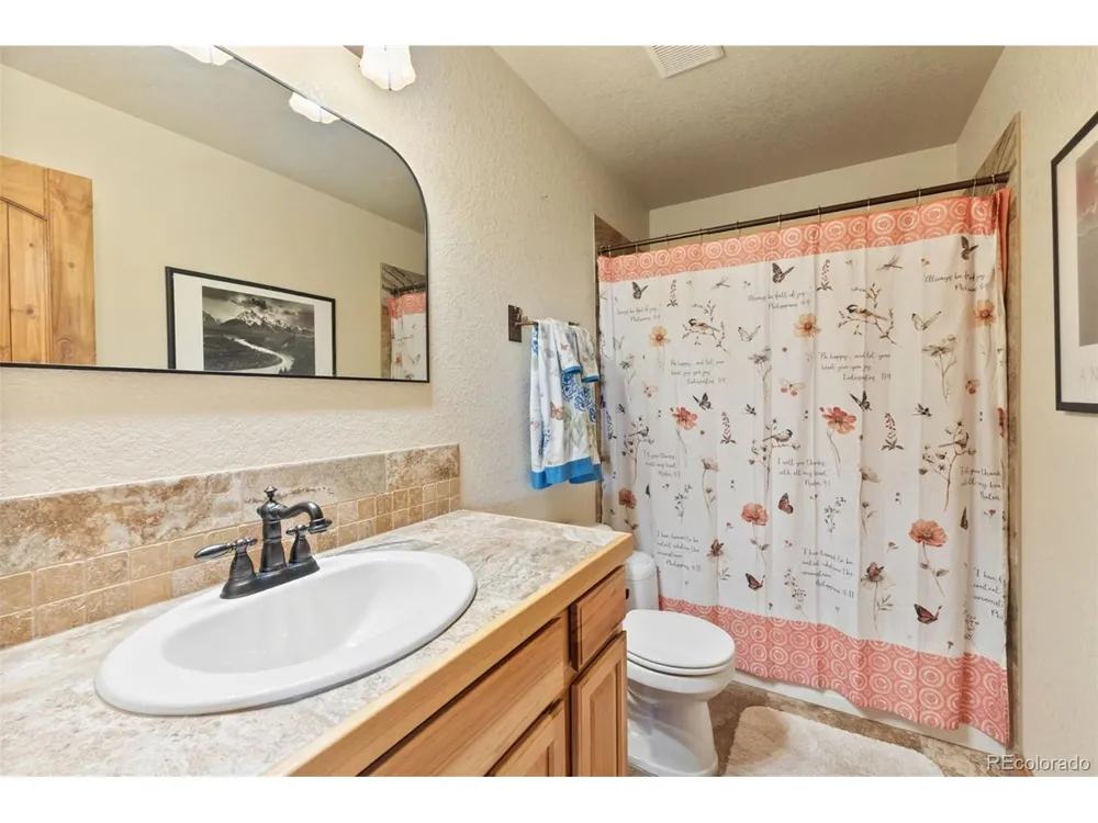 889 Venture Road Fairplay, CO 80440