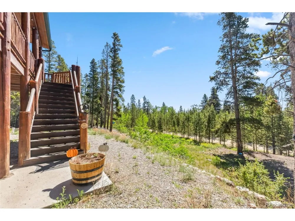 889 Venture Road Fairplay, CO 80440