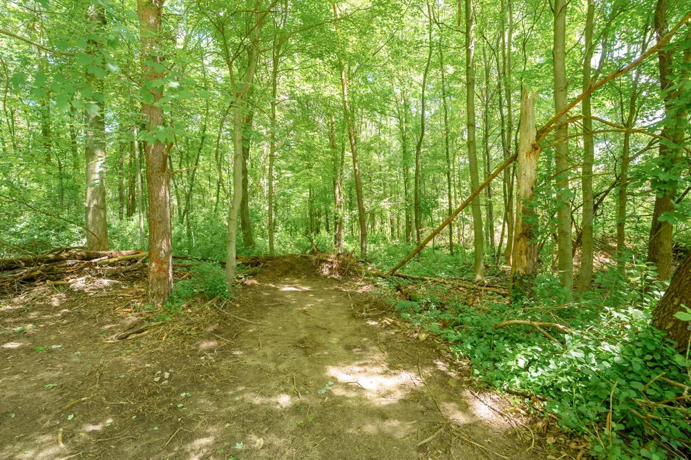 4445 Sassafras Lane Battle Creek, MI 49017