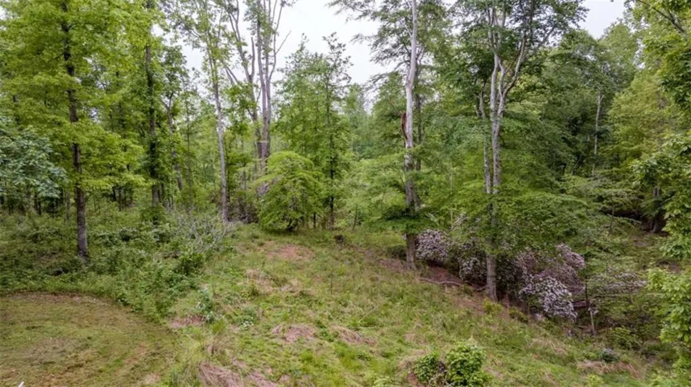 527 Louden Ridge Road Alto, GA 30510