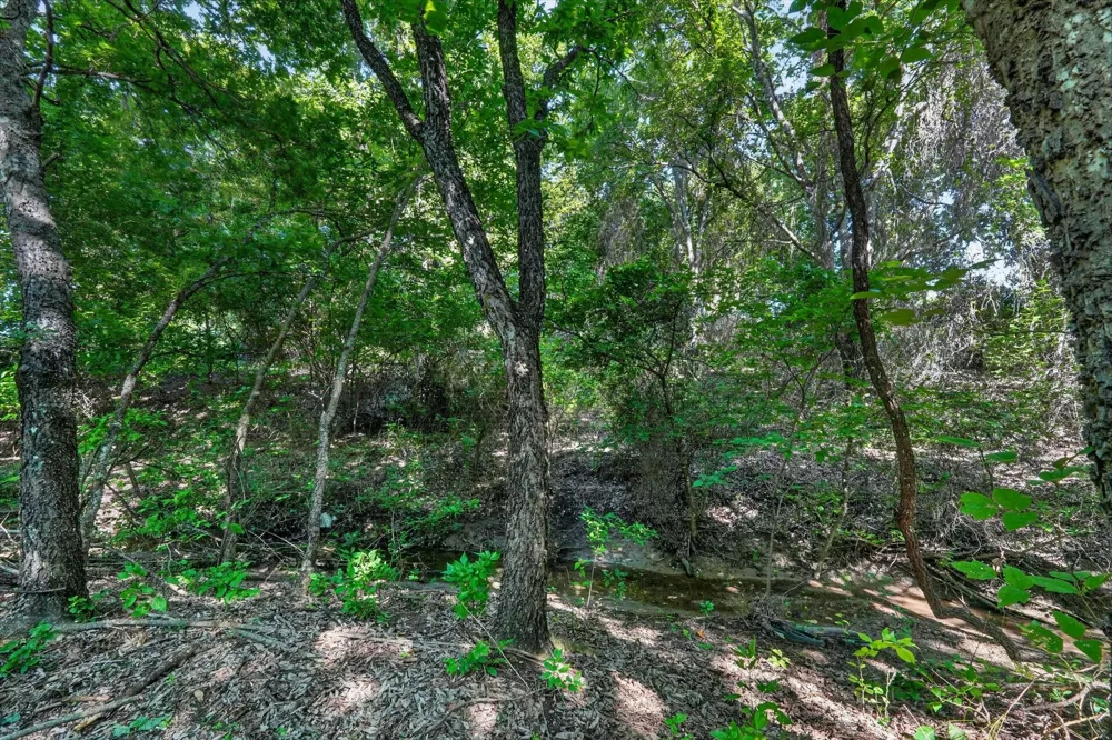 1917 Hudson Court Alvarado, TX 76009