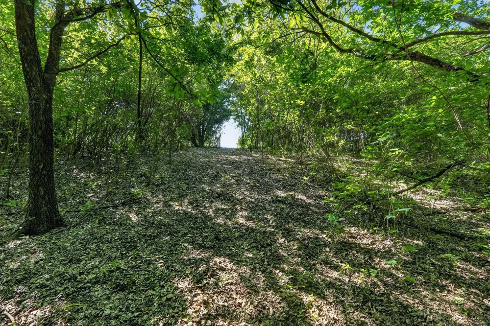 1917 Hudson Court Alvarado, TX 76009