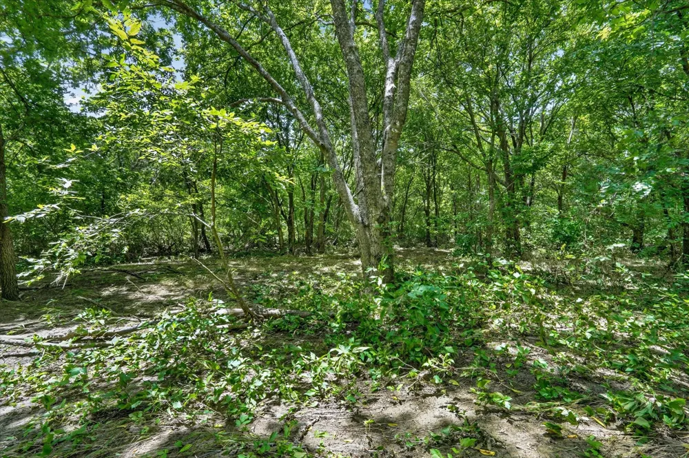 1917 Hudson Court Alvarado, TX 76009