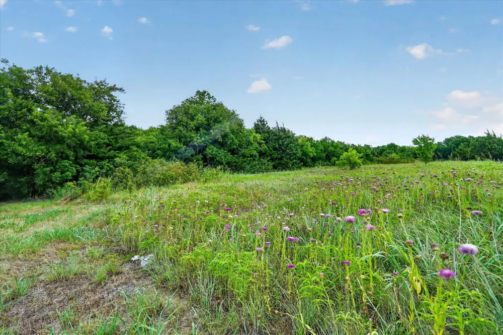 1917 Hudson Court Alvarado, TX 76009