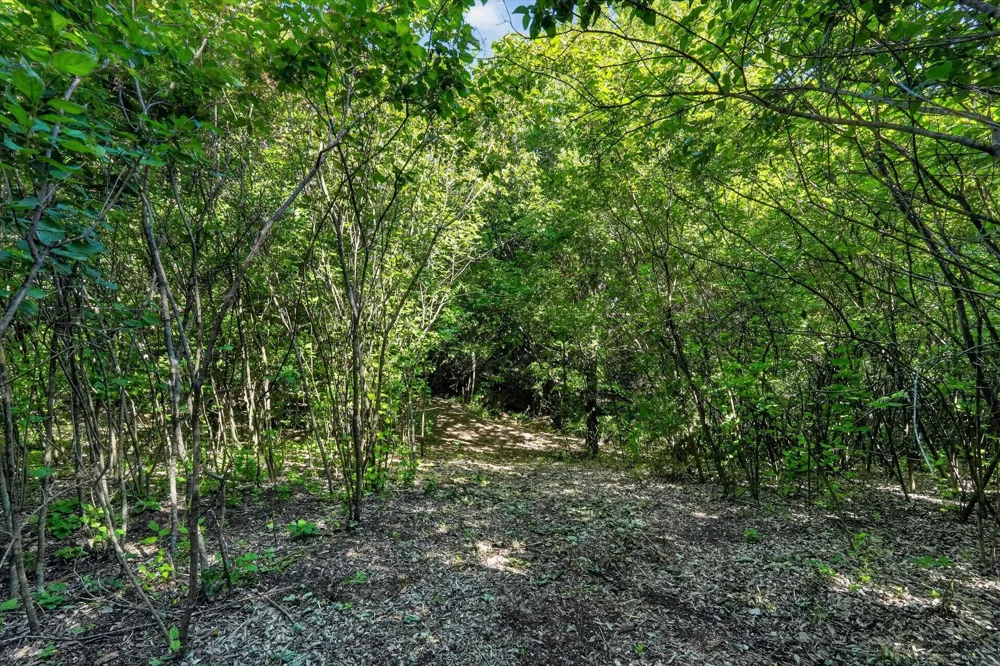 1917 Hudson Court Alvarado, TX 76009