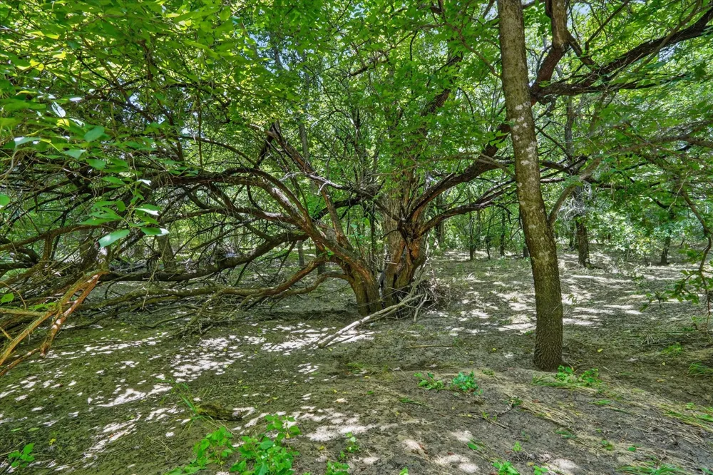 2041 Hudson Court Alvarado, TX 76009