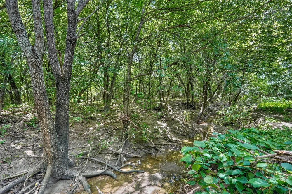 2041 Hudson Court Alvarado, TX 76009