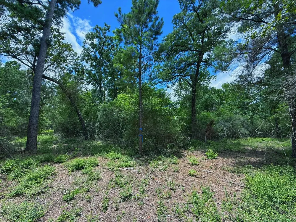 Cr 295 Oakwood, TX 75855