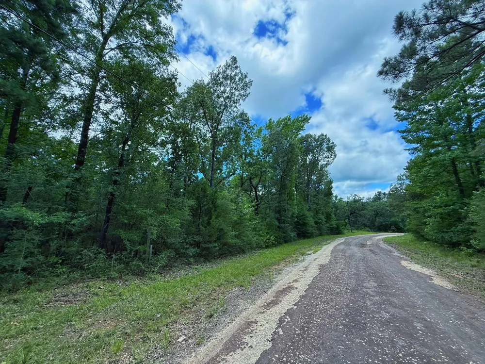 Cr 295 Oakwood, TX 75855