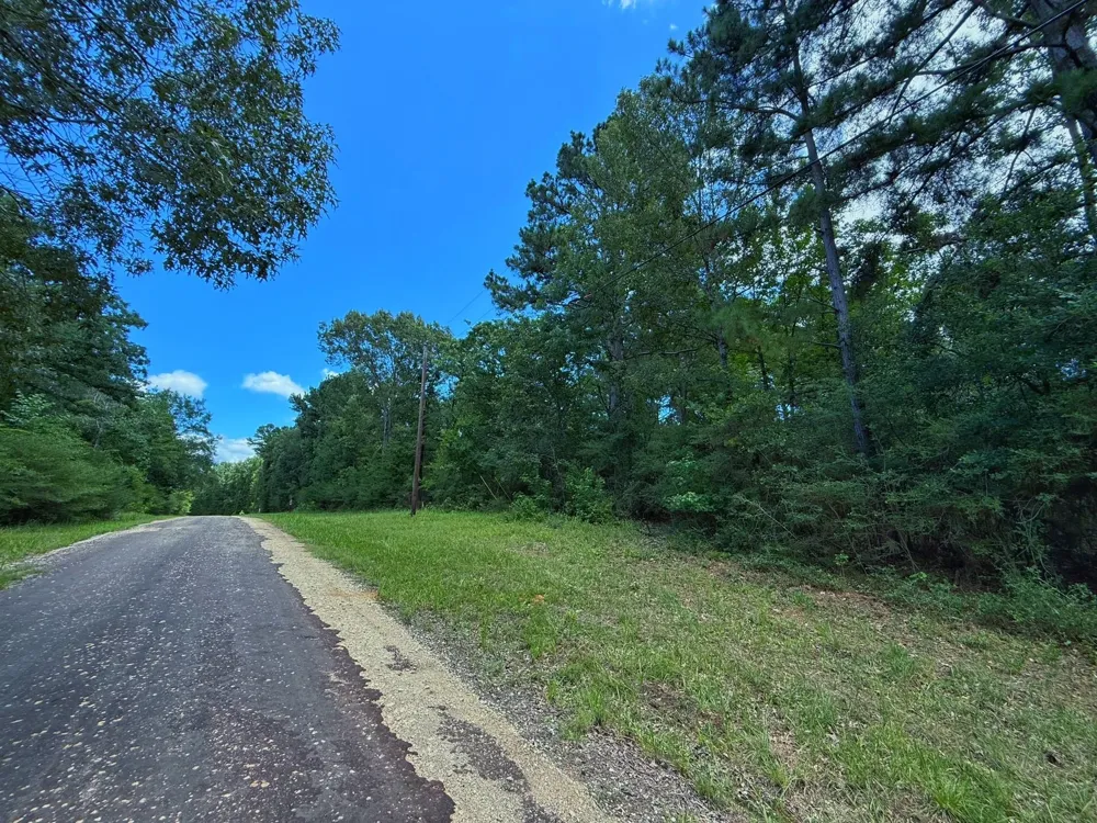 Cr 295 Oakwood, TX 75855