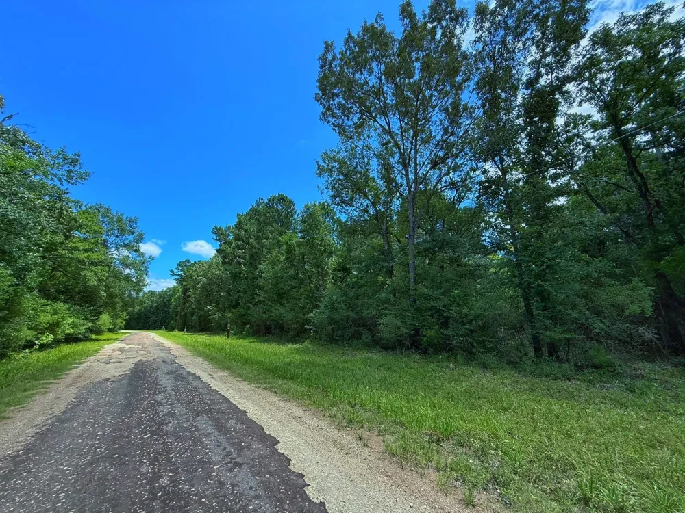Cr 295 Oakwood, TX 75855