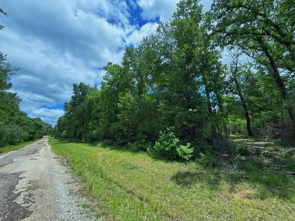 Cr 295 Oakwood, TX 75855