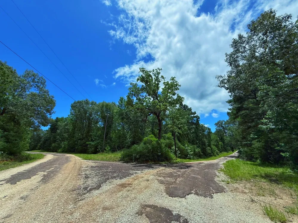 Cr 295 Oakwood, TX 75855