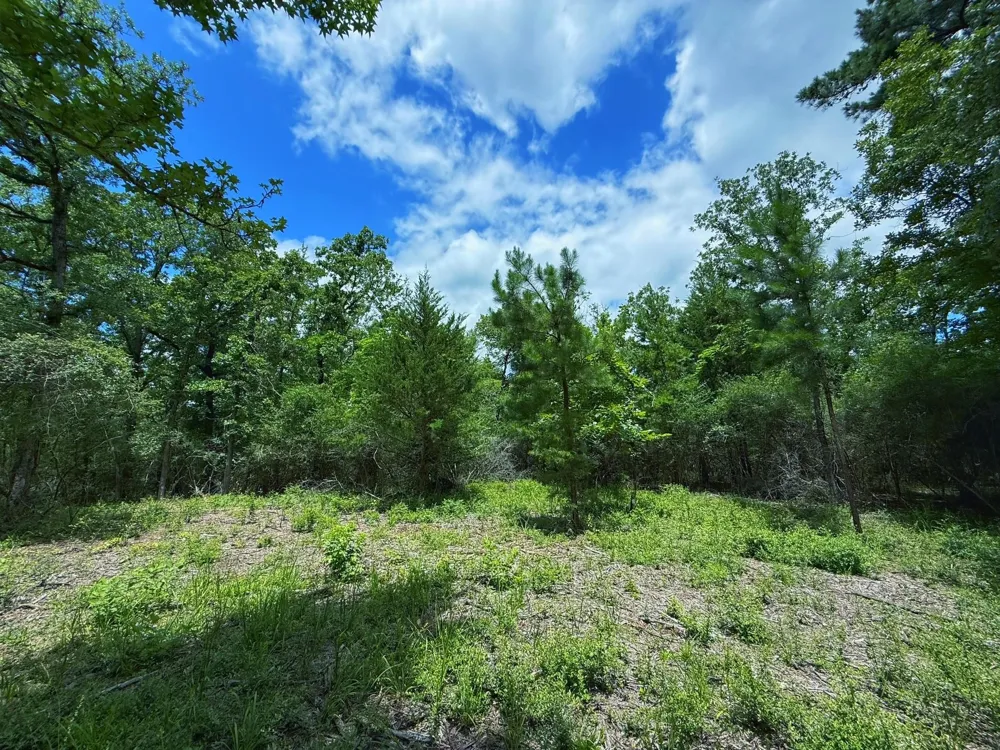 Cr 295 Oakwood, TX 75855