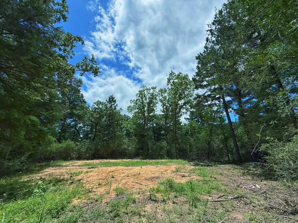 Cr 295 Oakwood, TX 75855