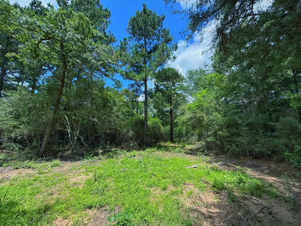 Cr 295 Oakwood, TX 75855