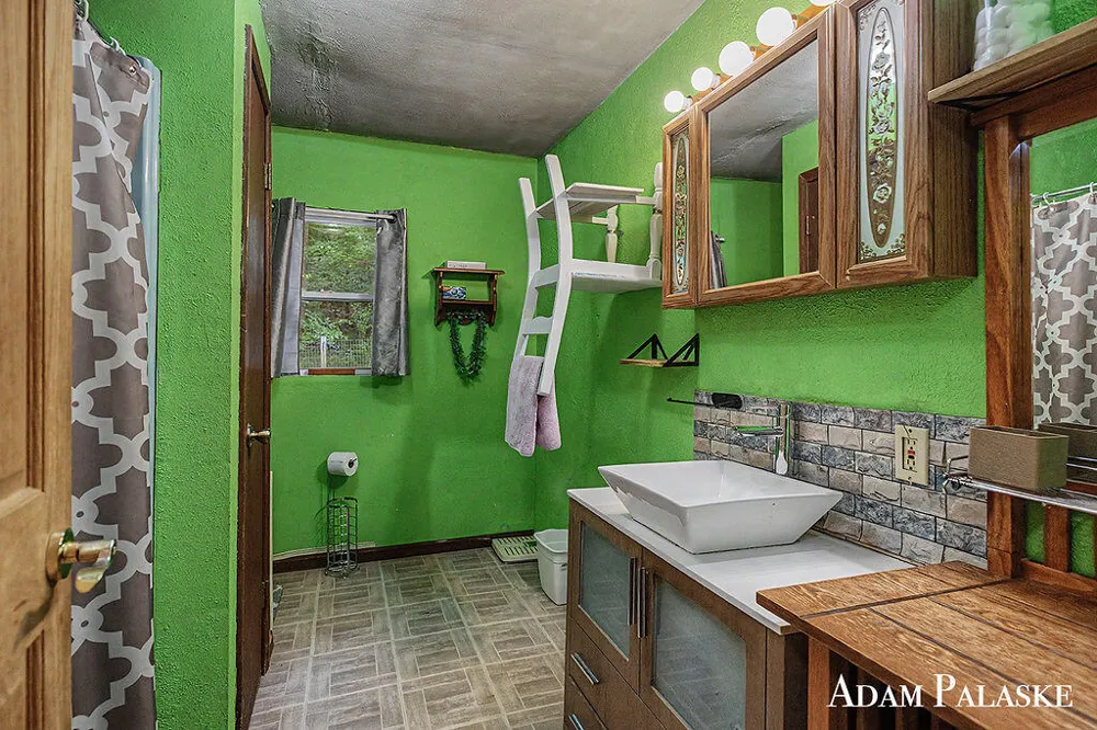 3542 Holiday Drive Montcalm Township, MI 48838