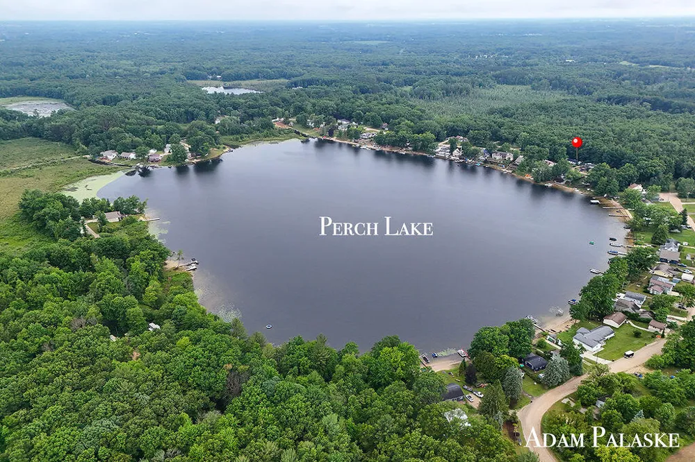 3542 Holiday Drive Montcalm Township, MI 48838