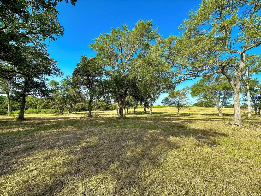 39 Lcr 721 Kosse, TX 76653