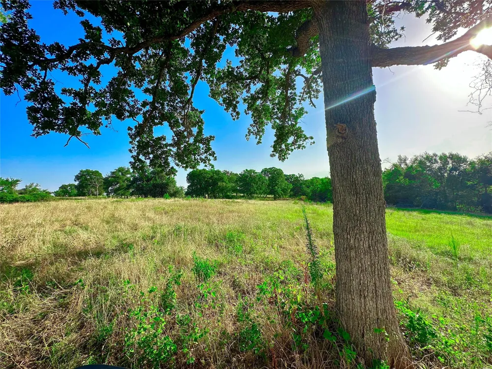39 Lcr 721 Kosse, TX 76653