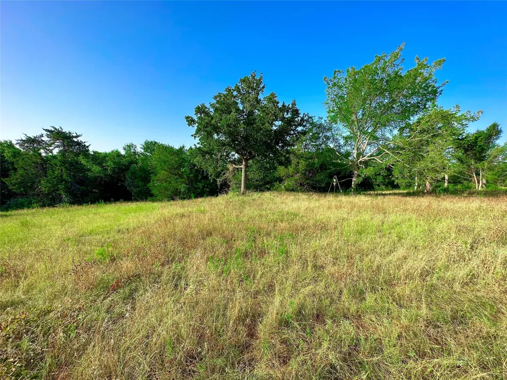 39 Lcr 721 Kosse, TX 76653