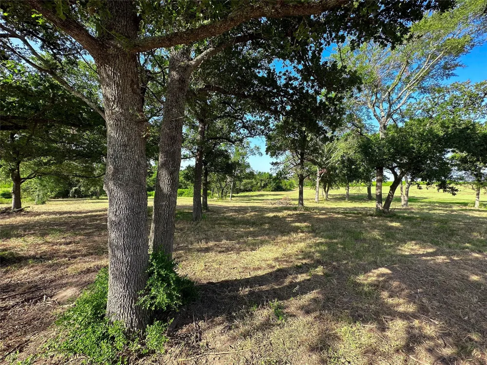 39 Lcr 721 Kosse, TX 76653