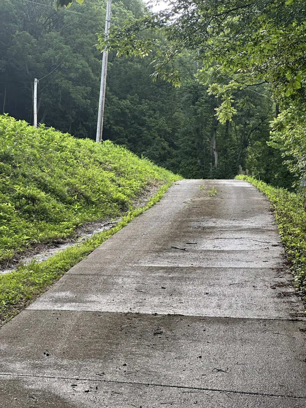 45 Friendship Hollow Rd Pleasant Shade, TN 37145