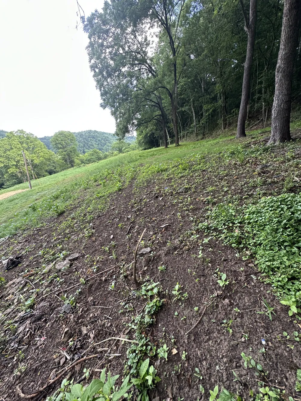 45 Friendship Hollow Rd Pleasant Shade, TN 37145