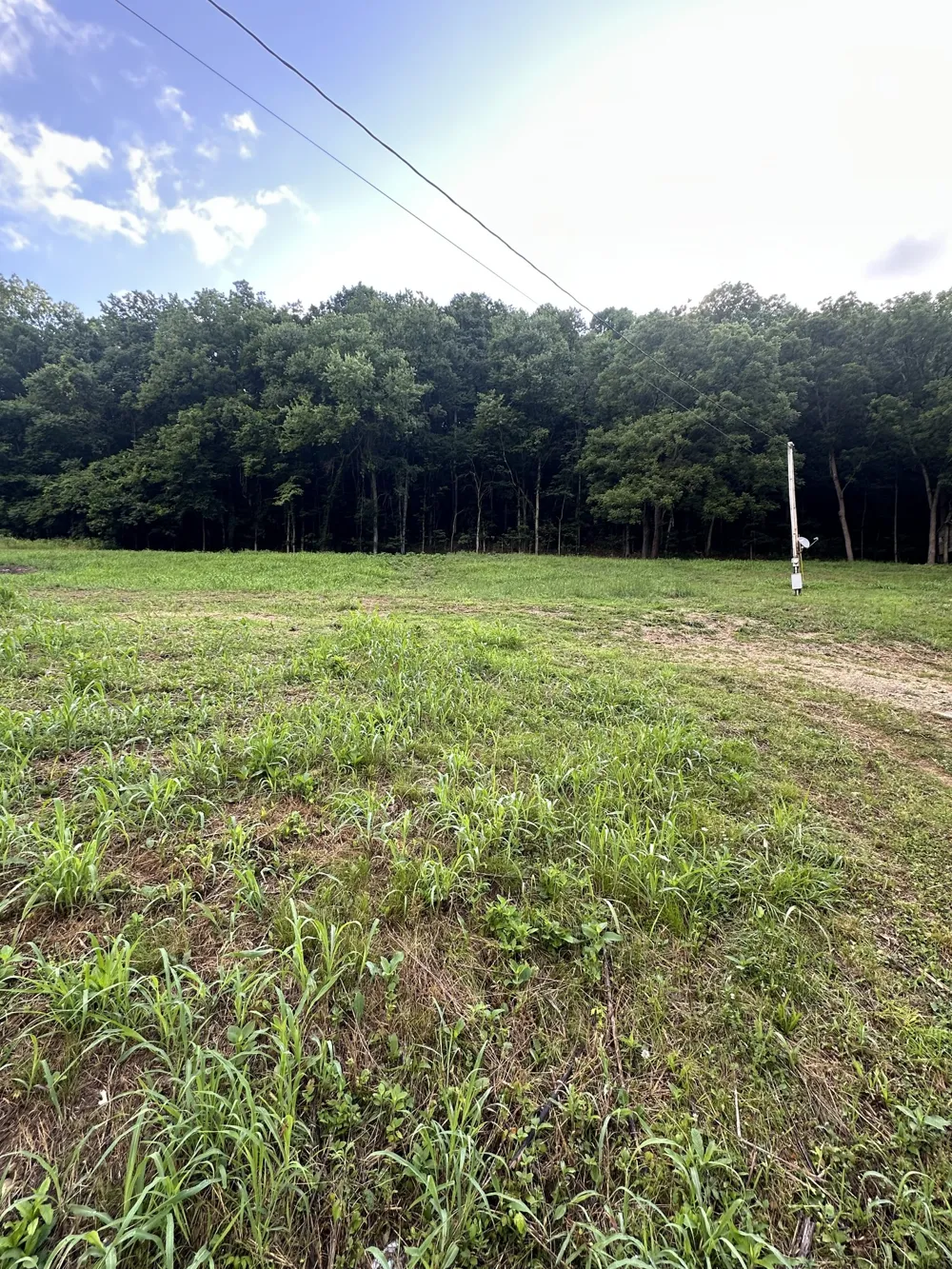 45 Friendship Hollow Rd Pleasant Shade, TN 37145