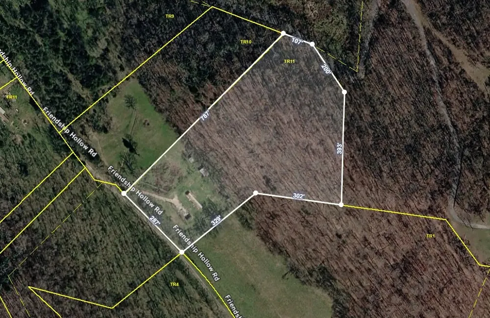 45 Friendship Hollow Rd Pleasant Shade, TN 37145
