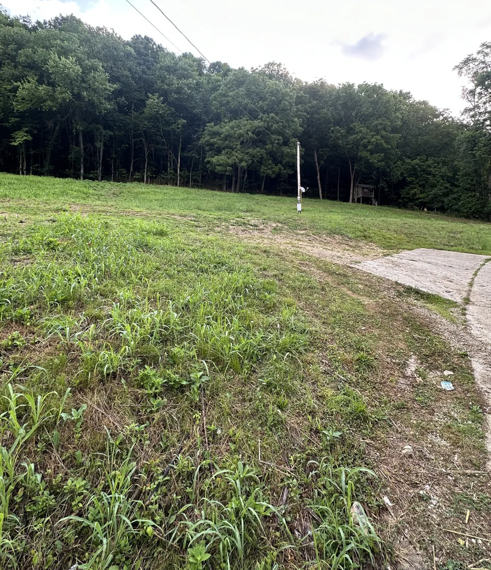 45 Friendship Hollow Rd Pleasant Shade, TN 37145