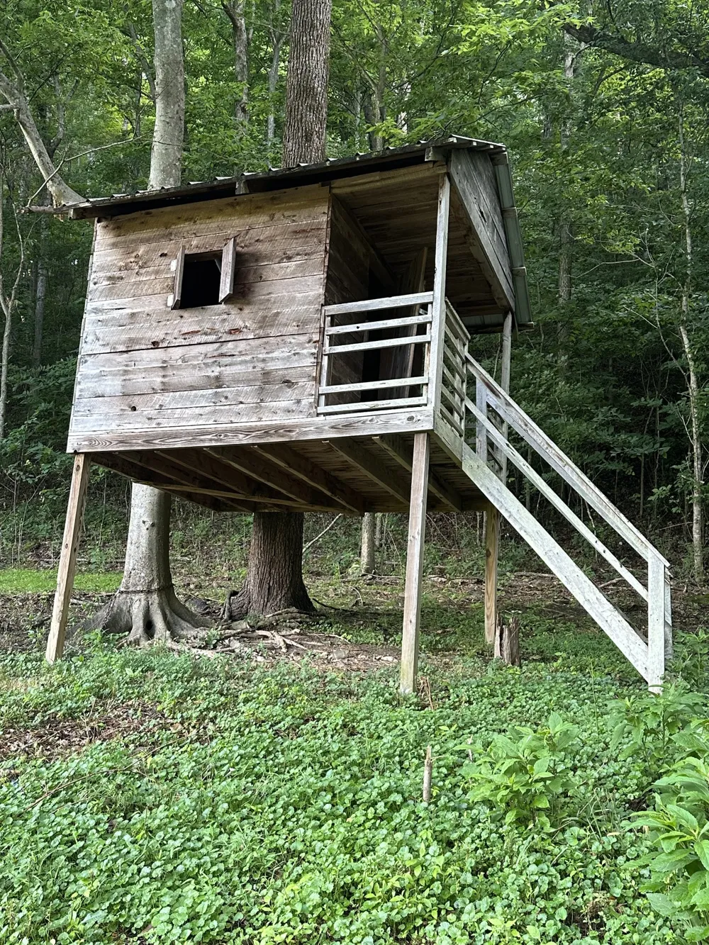 45 Friendship Hollow Rd Pleasant Shade, TN 37145