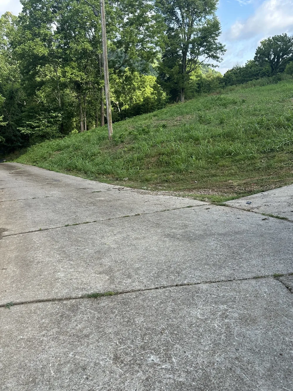 45 Friendship Hollow Rd Pleasant Shade, TN 37145