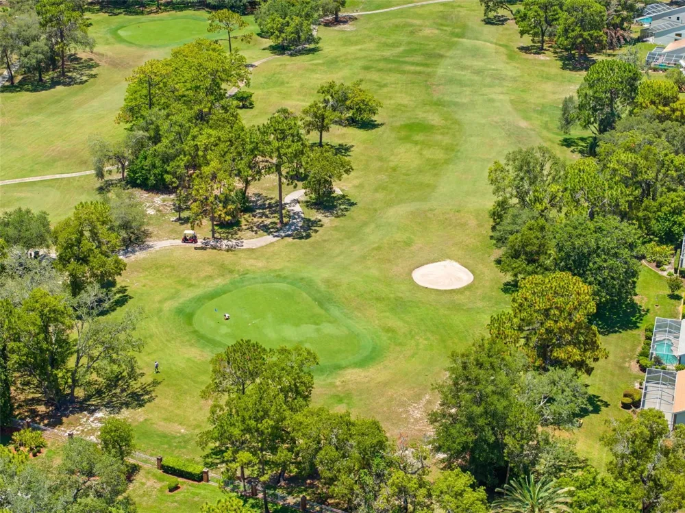 9354 MISSISSIPPI RUN Weeki Wachee, FL 34613