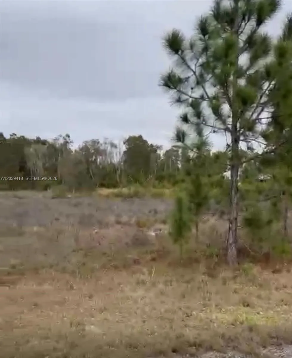 741 Bobolink Ave Other City - In The State Of Florida, FL 33974