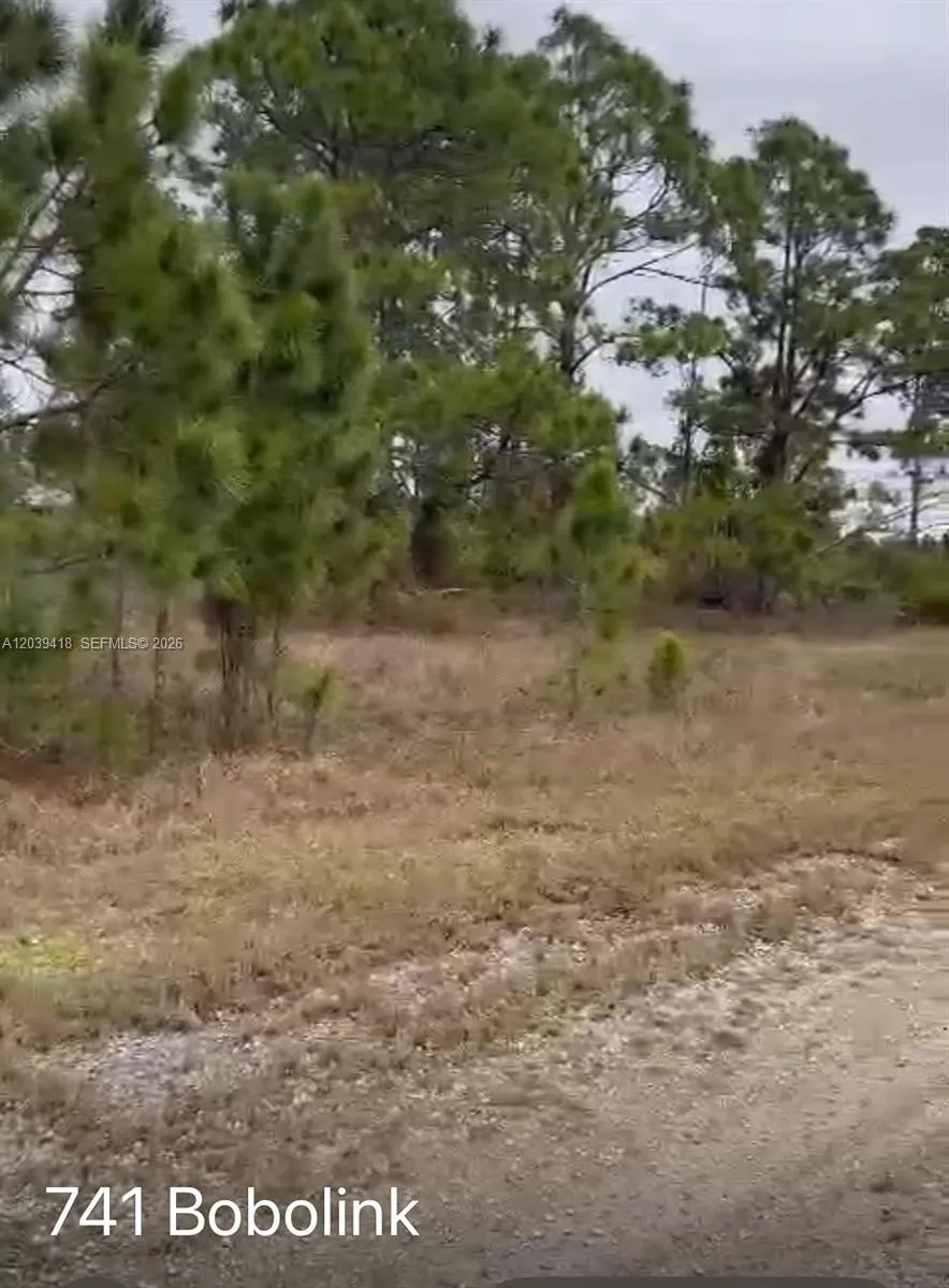 741 Bobolink Ave Other City - In The State Of Florida, FL 33974