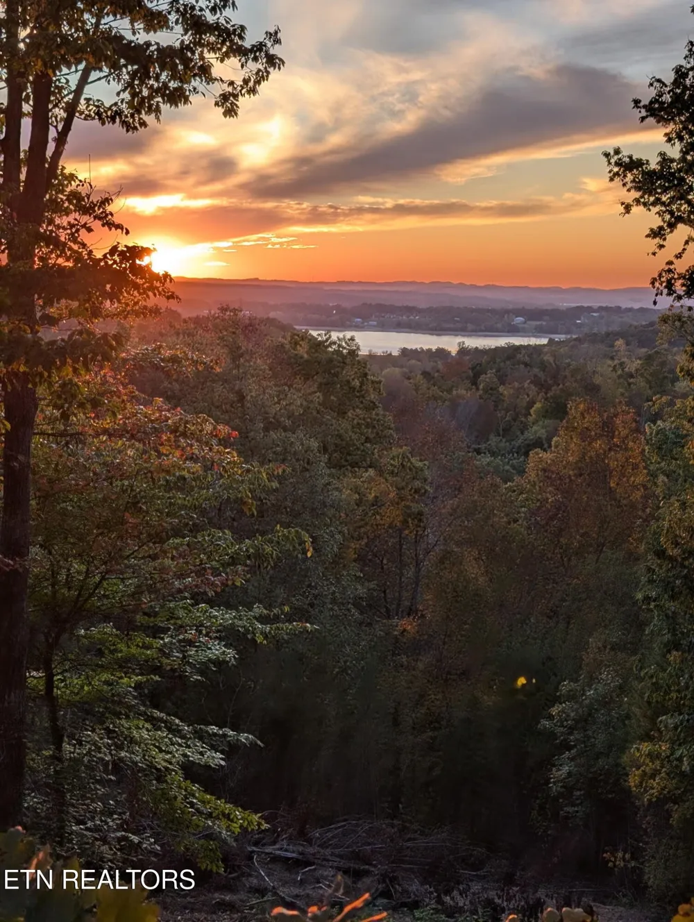 1040 Sturmhaben Way Newport, TN 37821