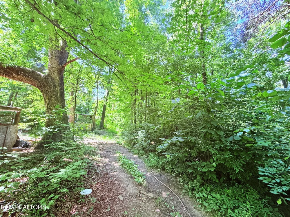 1040 Sturmhaben Way Newport, TN 37821