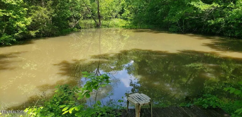 1040 Sturmhaben Way Newport, TN 37821
