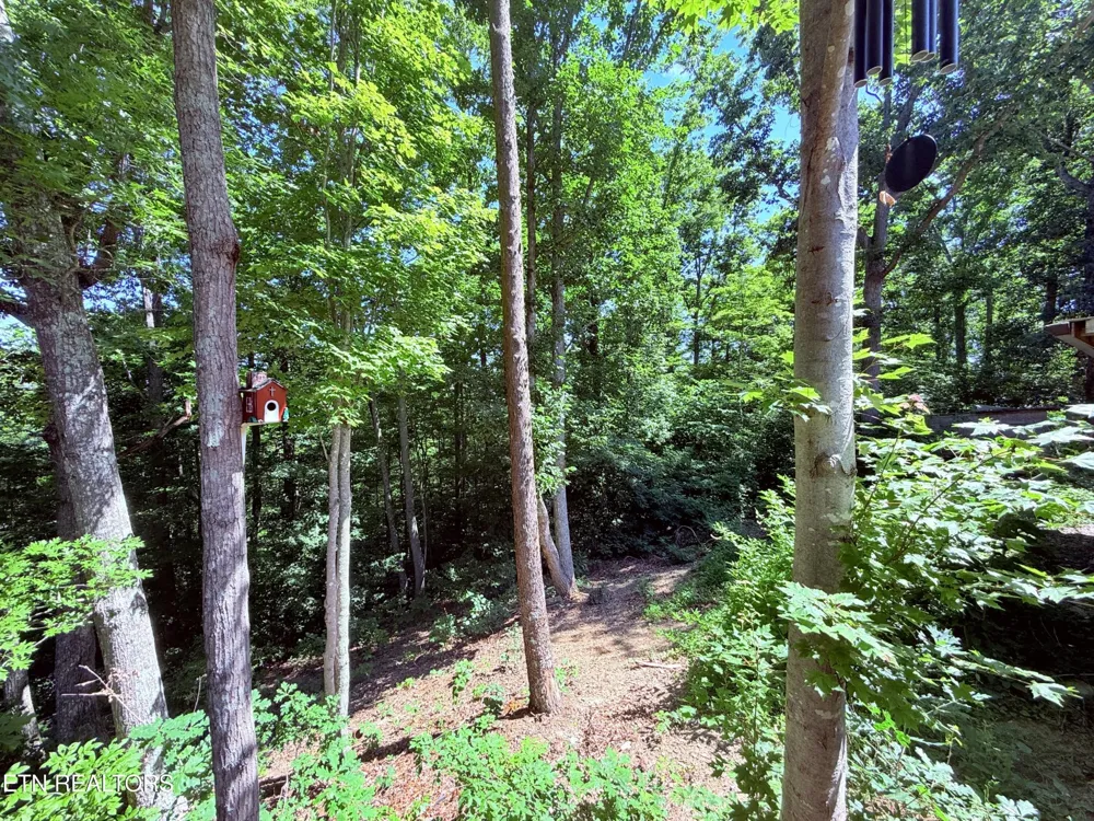 1040 Sturmhaben Way Newport, TN 37821