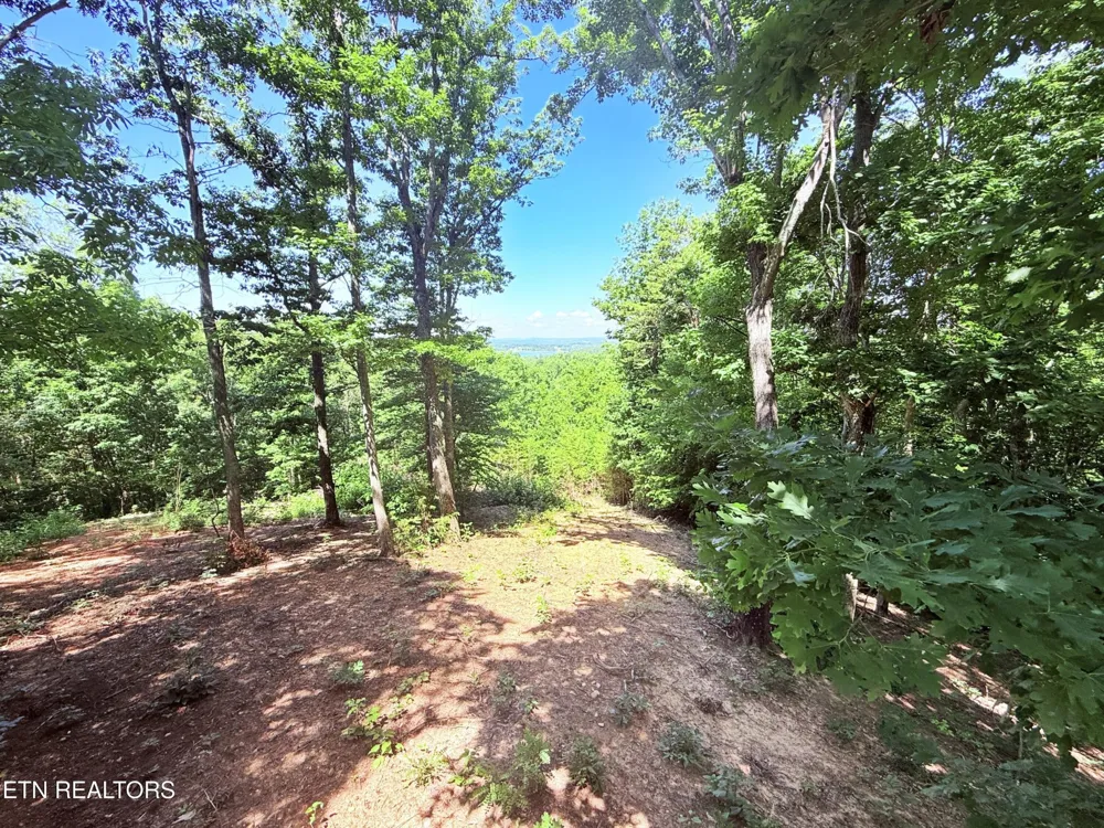 1040 Sturmhaben Way Newport, TN 37821